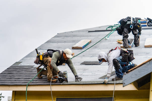Professional Gutter Installation technician working in Ararat, NC